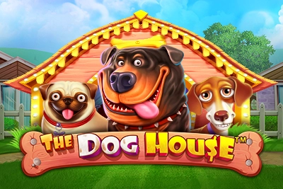 The Dog House pokie at JeetCity Casino
