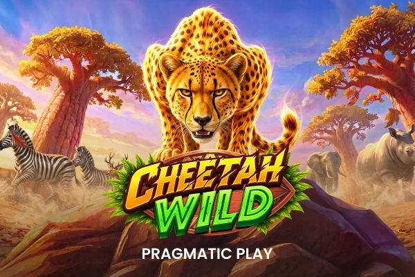 Cheetah Wild pokie at JeetCity Casino