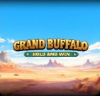 Grand Buffalo Hold & Win pokie at JeetCity Casino
